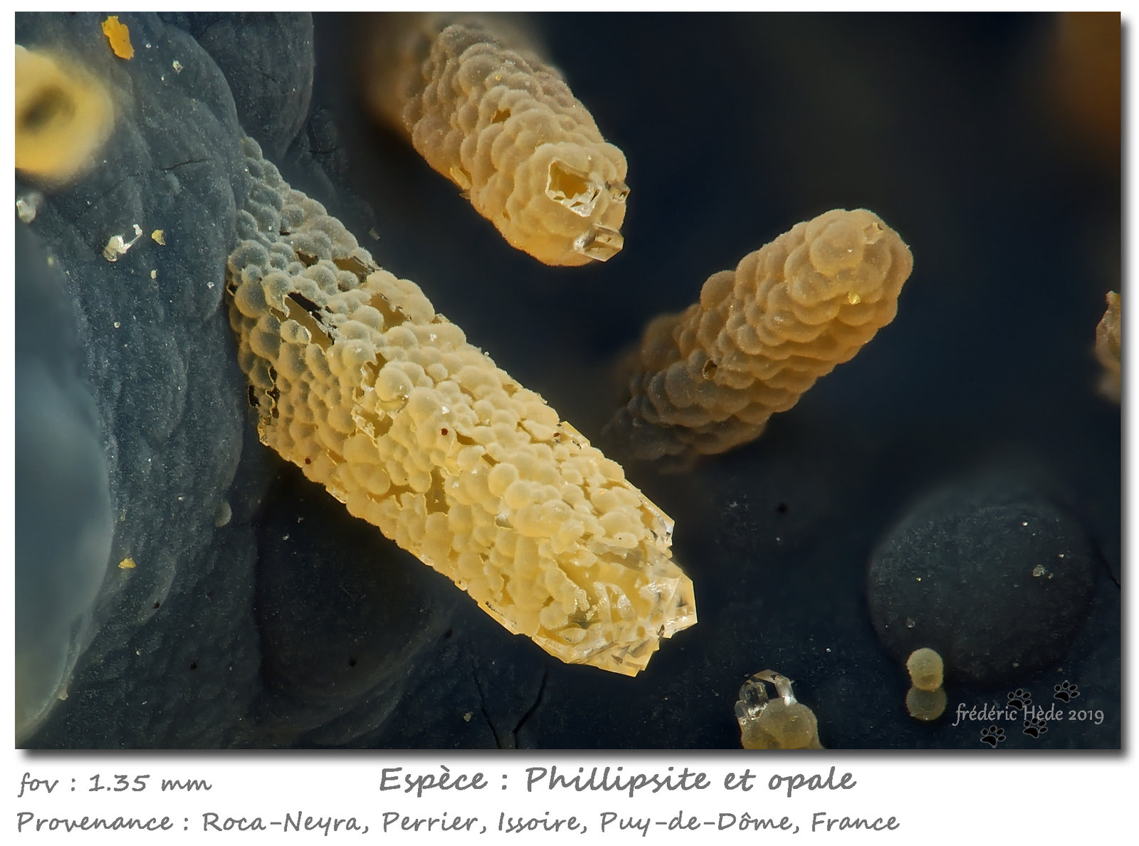 Phillipsite and Opal
Fov 1.35 mm
(Autor: ploum)
