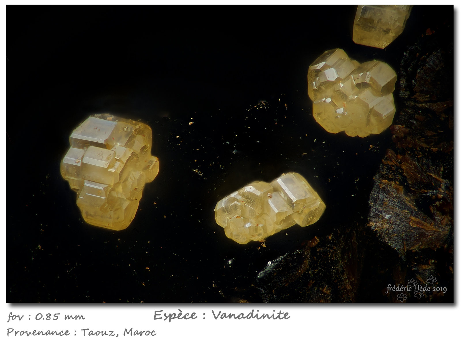 Vanadinite
fov 0.85 mm
(Autor: ploum)