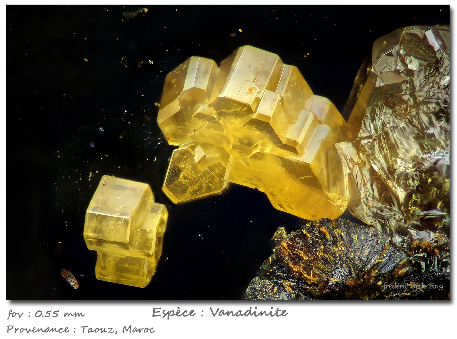 Vanadinite
fov 0.55 mm
(Autor: ploum)