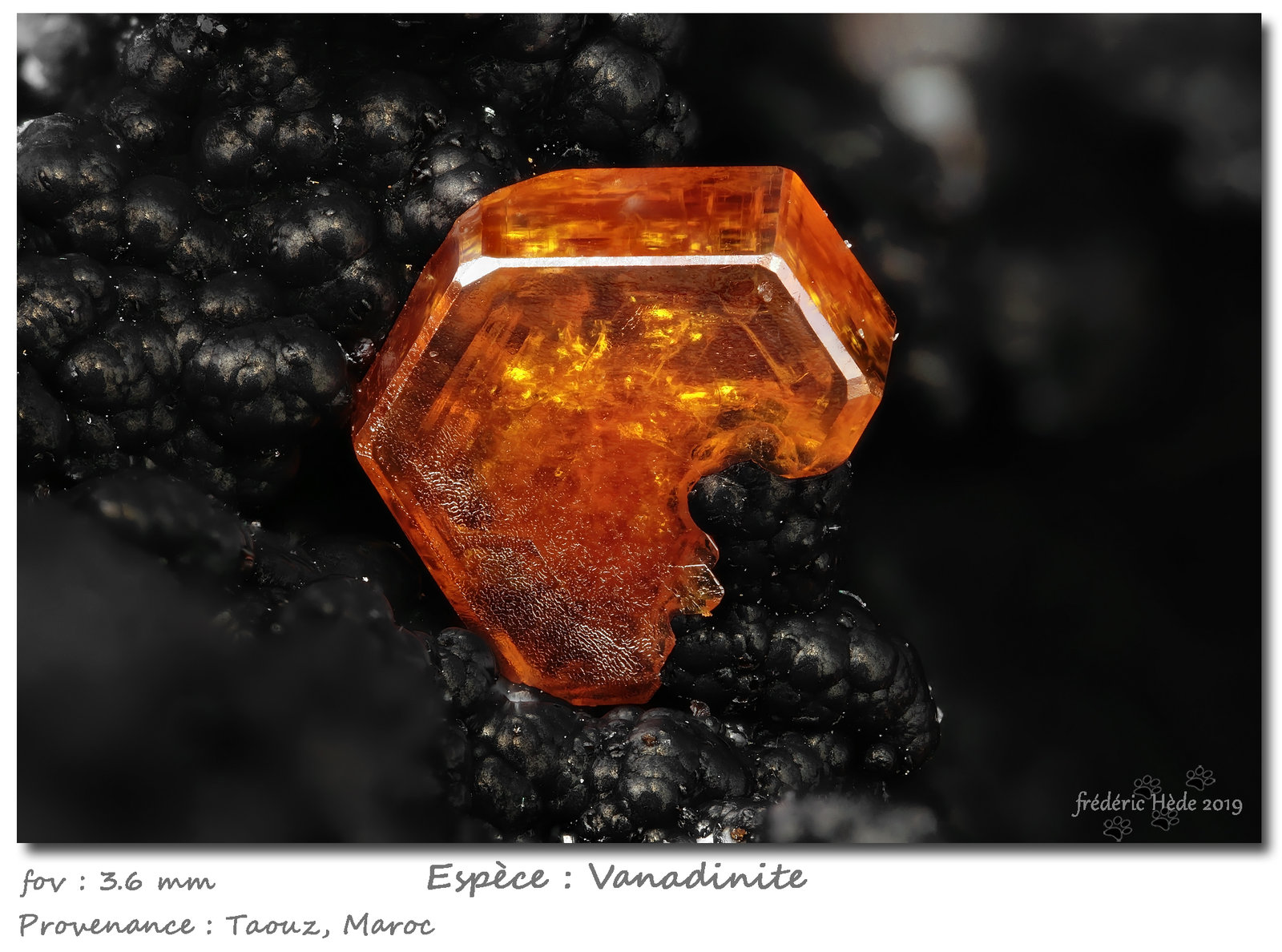 Vanadinite
(Autor: ploum)