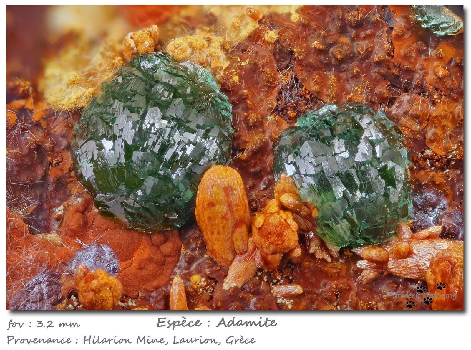 Adamite
fov 3.2 mm
(Autor: ploum)