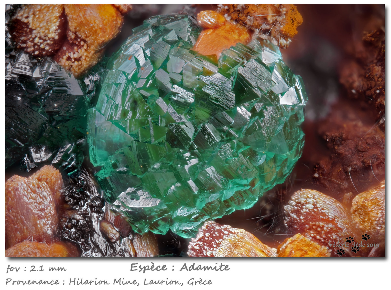 Adamite
fov 2.1 mm
(Autor: ploum)