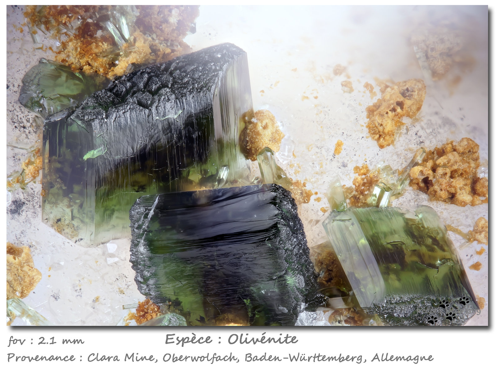 Olivenite
fov 2.1 mm
(Autor: ploum)