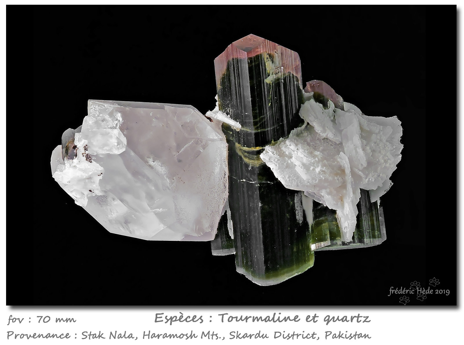 Tourmaline and Quartz
fov  70 mm
(Autor: ploum)