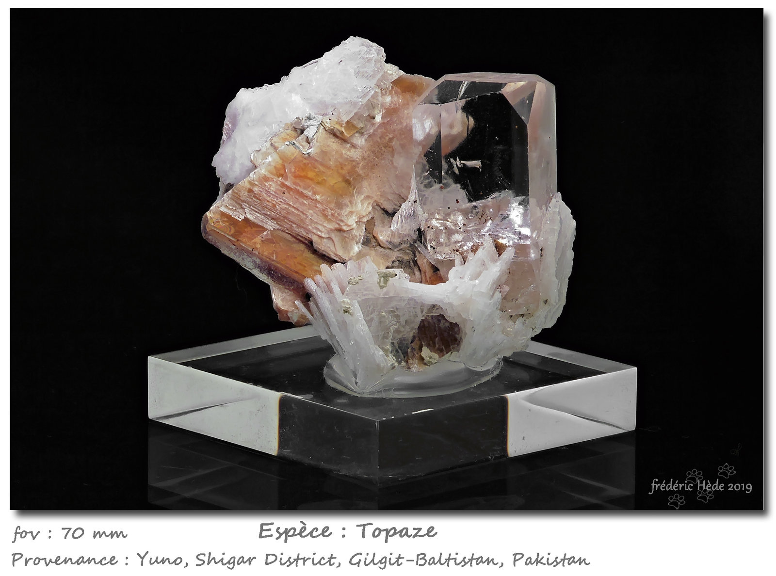 Topaz
fov 70 mm
(Autor: ploum)