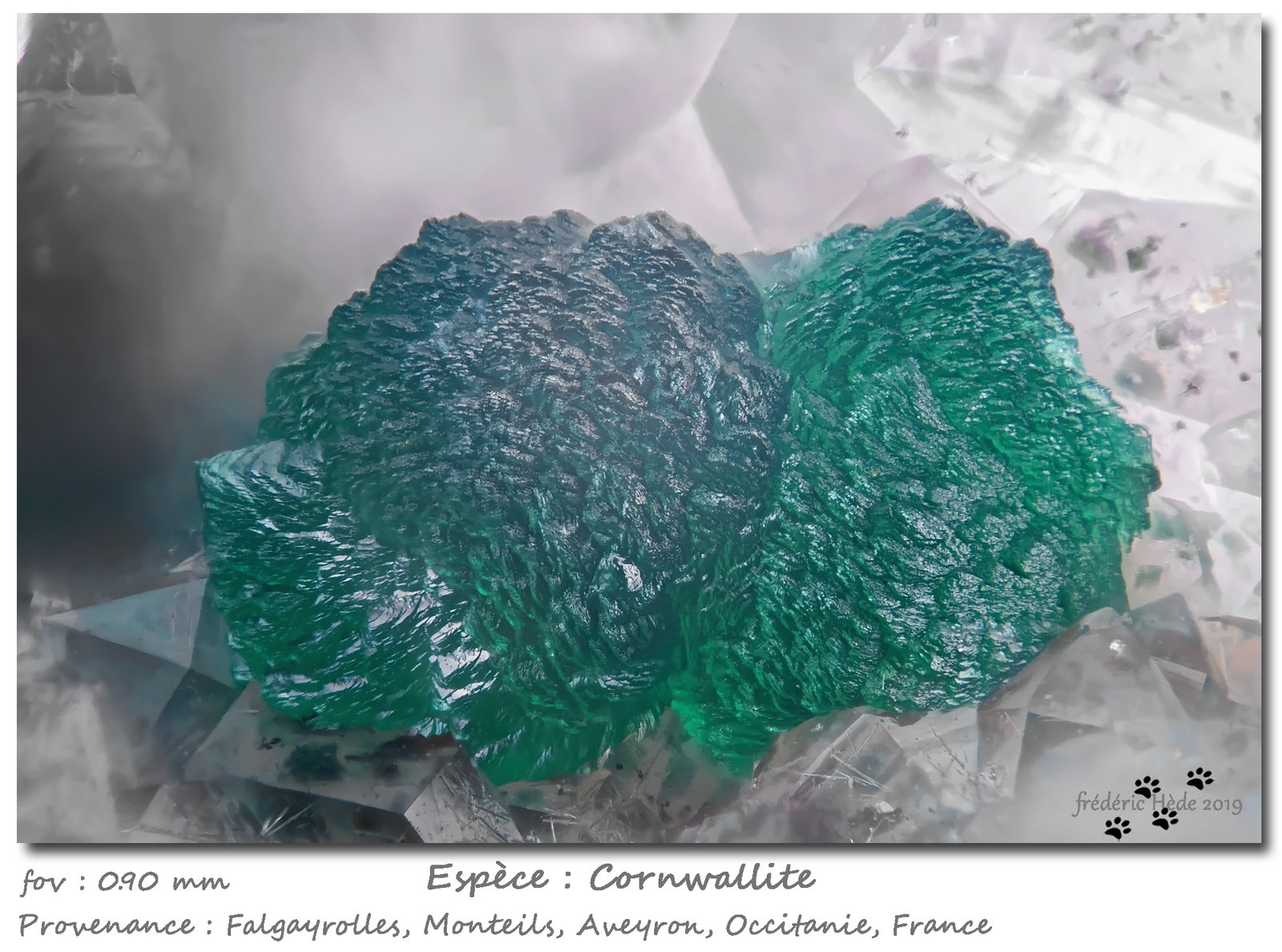 Cornwallite
fov 0.90 mm
(Autor: ploum)
