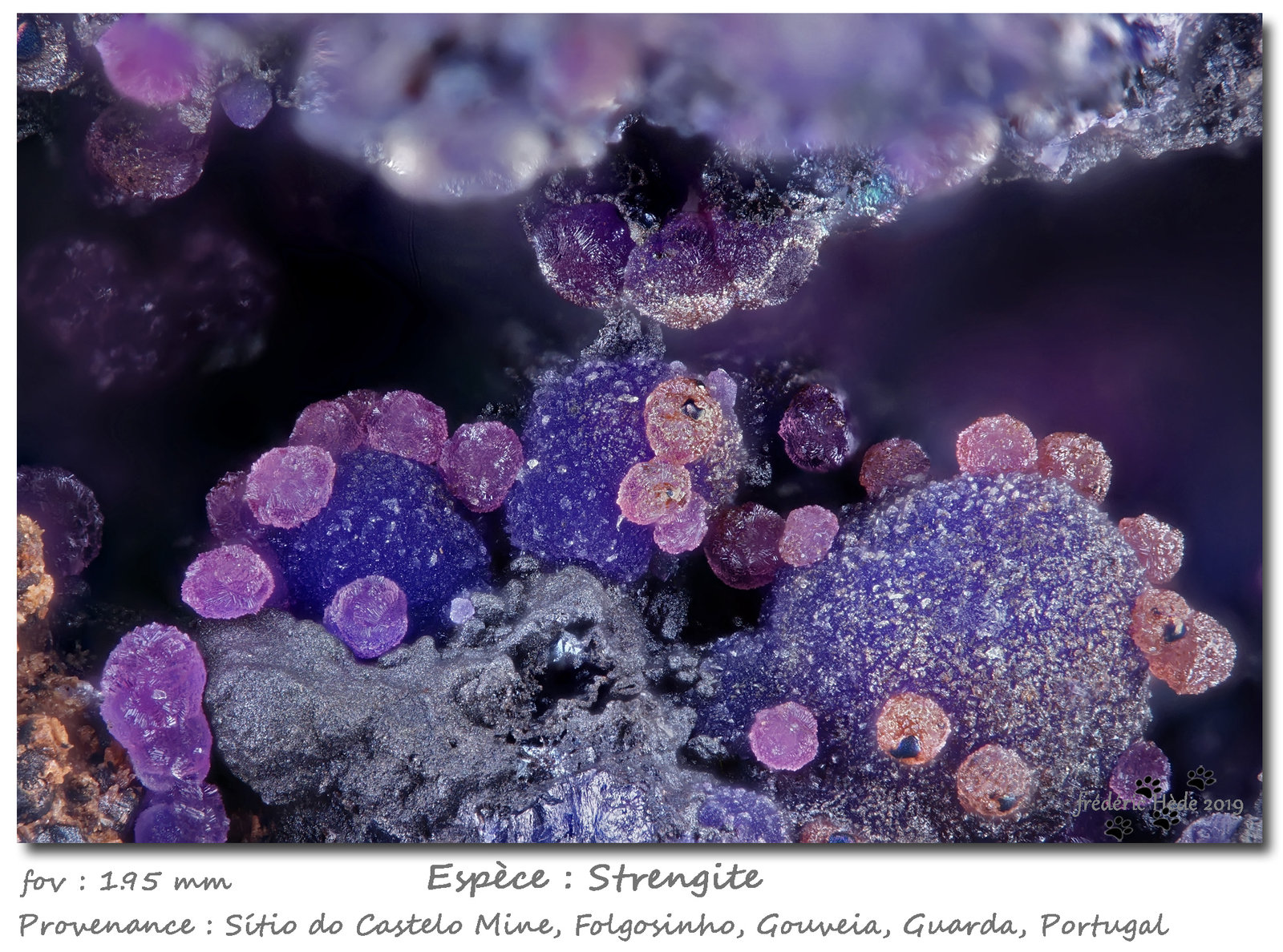 Strengite
fov 1.95 mm
(Autor: ploum)