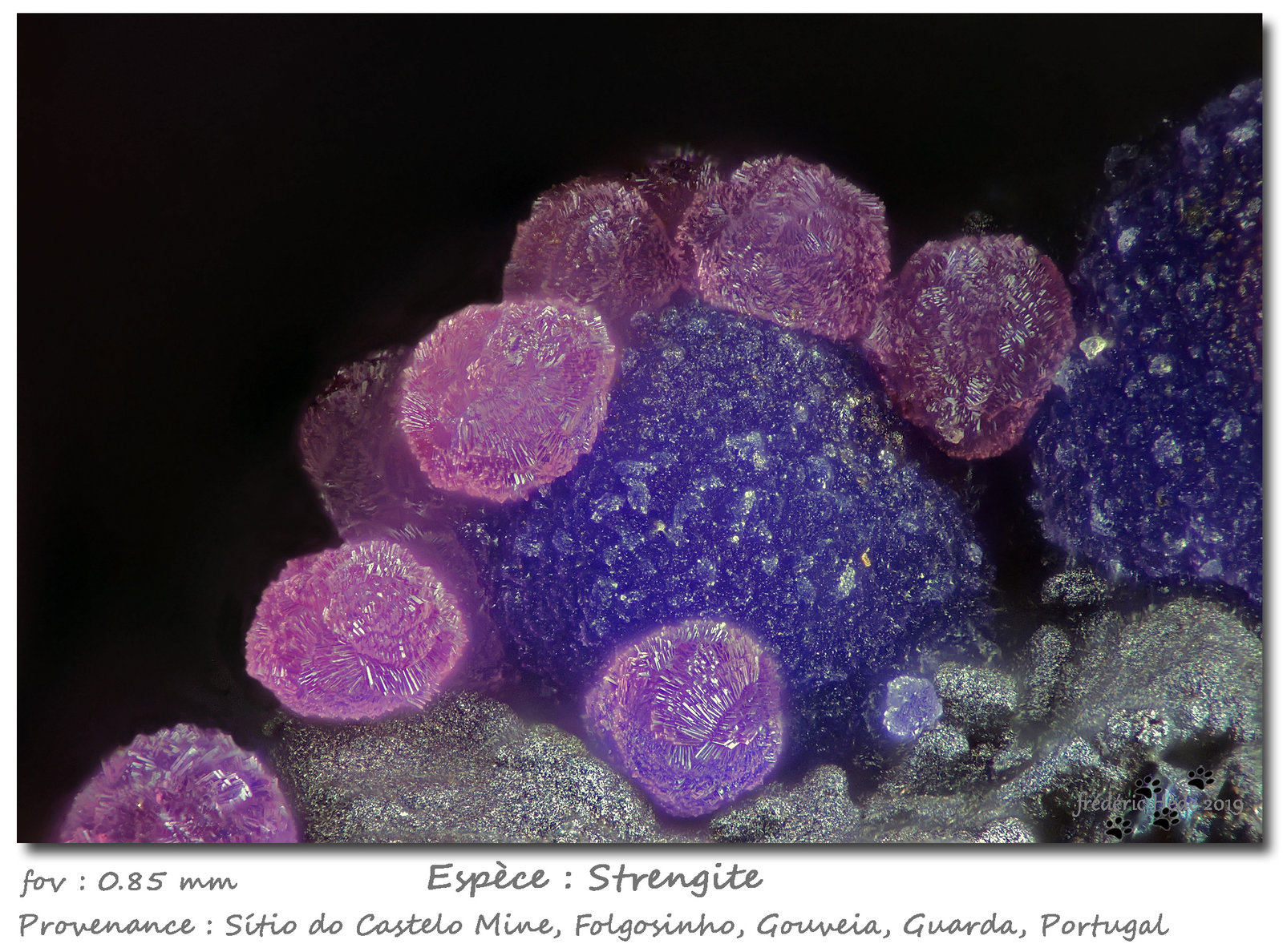 Strengite
fov 0.85 mm
(Autor: ploum)
