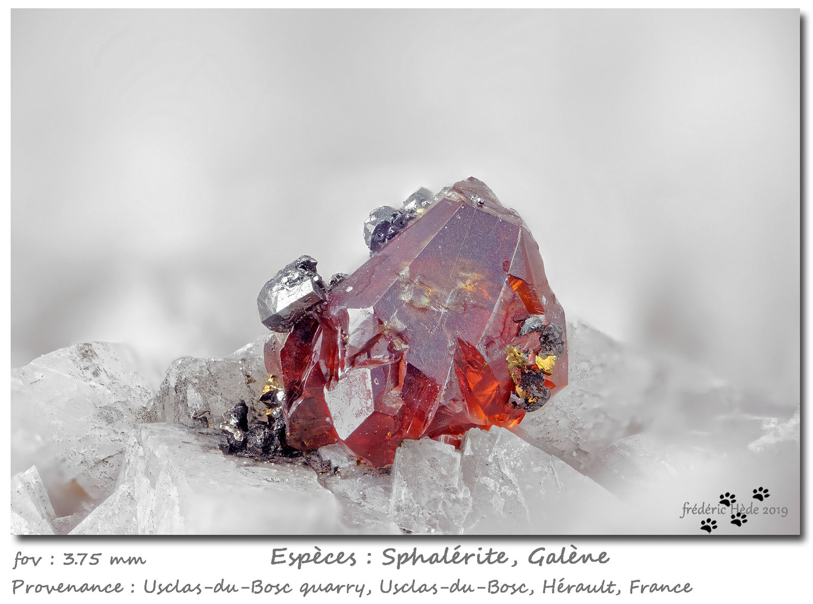 Sphalerite and Galena
3.75 mm
(Autor: ploum)