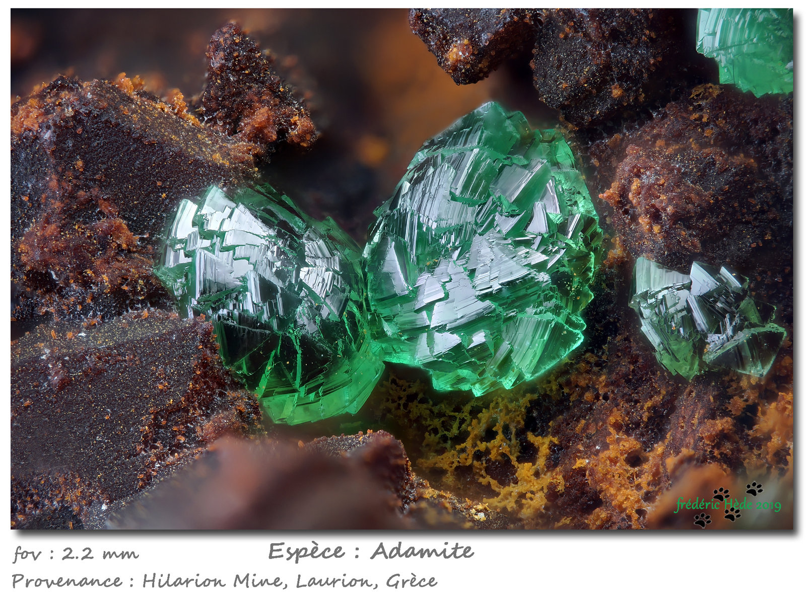Adamite (variety cuprian)
fov 2.2 mm
(Autor: ploum)
