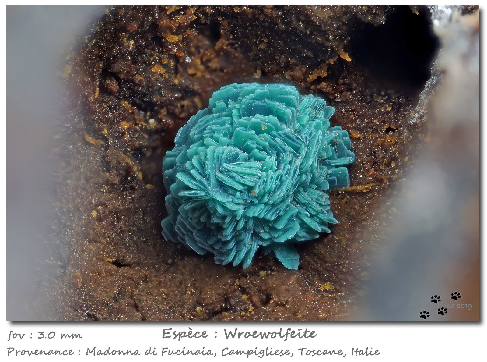 Wroewolfeite
fov 3 mm
(Autor: ploum)