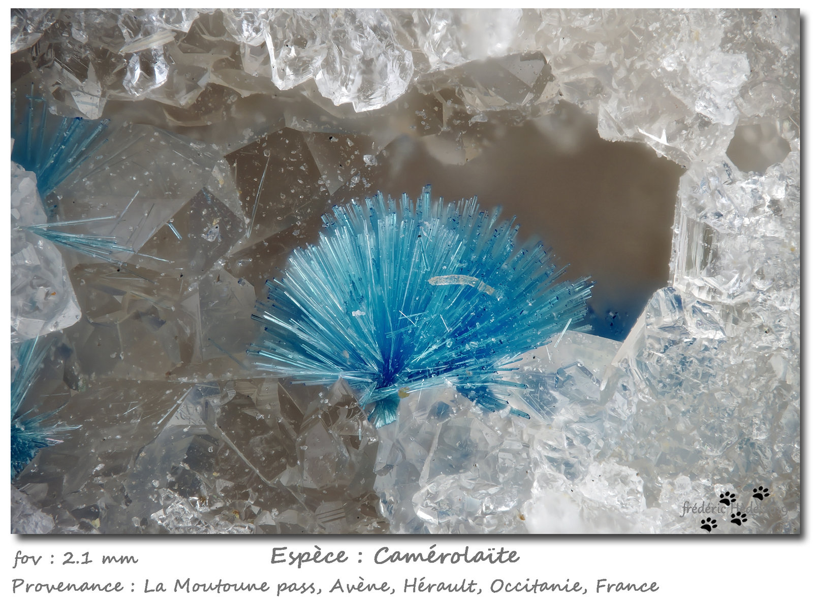 Camérolaite
fov 2.1 mm
(Autor: ploum)