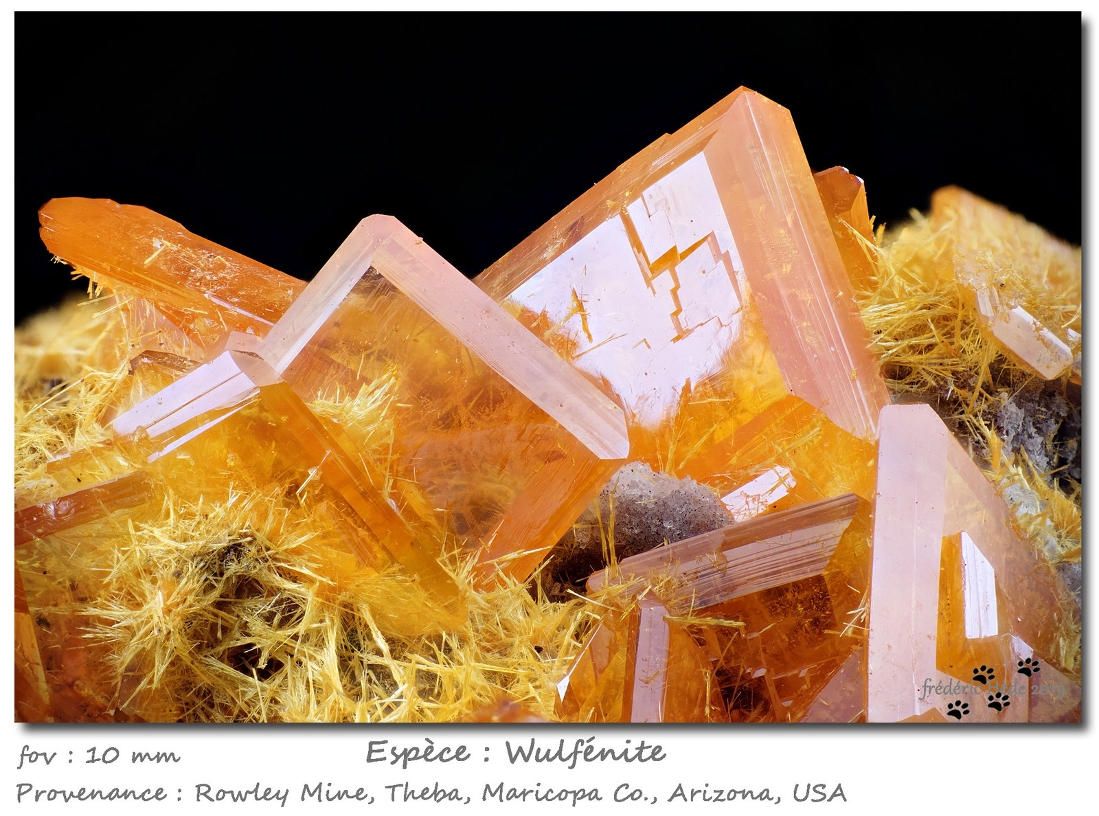 Wulfenite with Mimetite
fov 11 mm
(Autor: ploum)