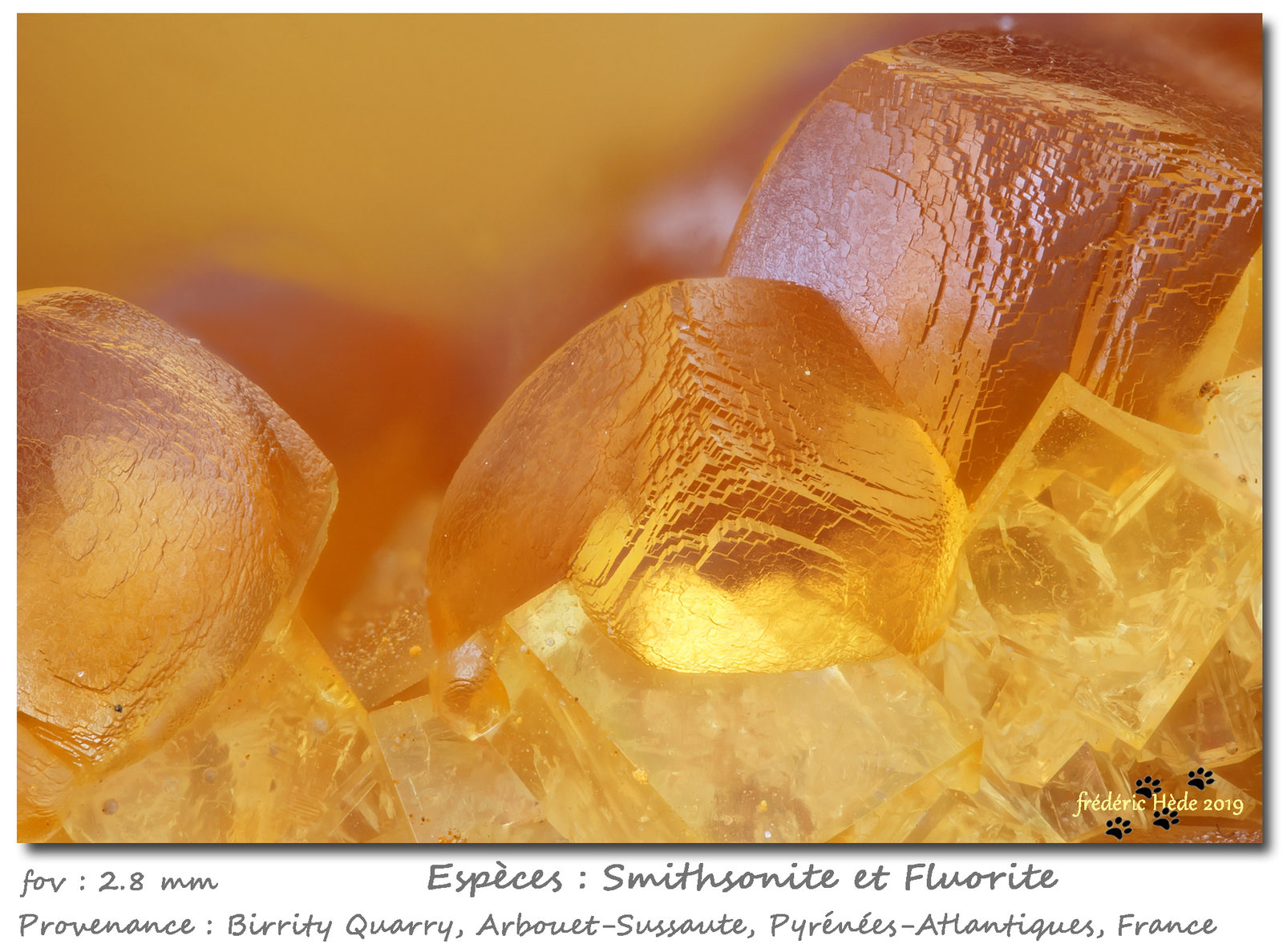 Smithsonite and Fluorite
fov 2.8 mm
(Autor: ploum)