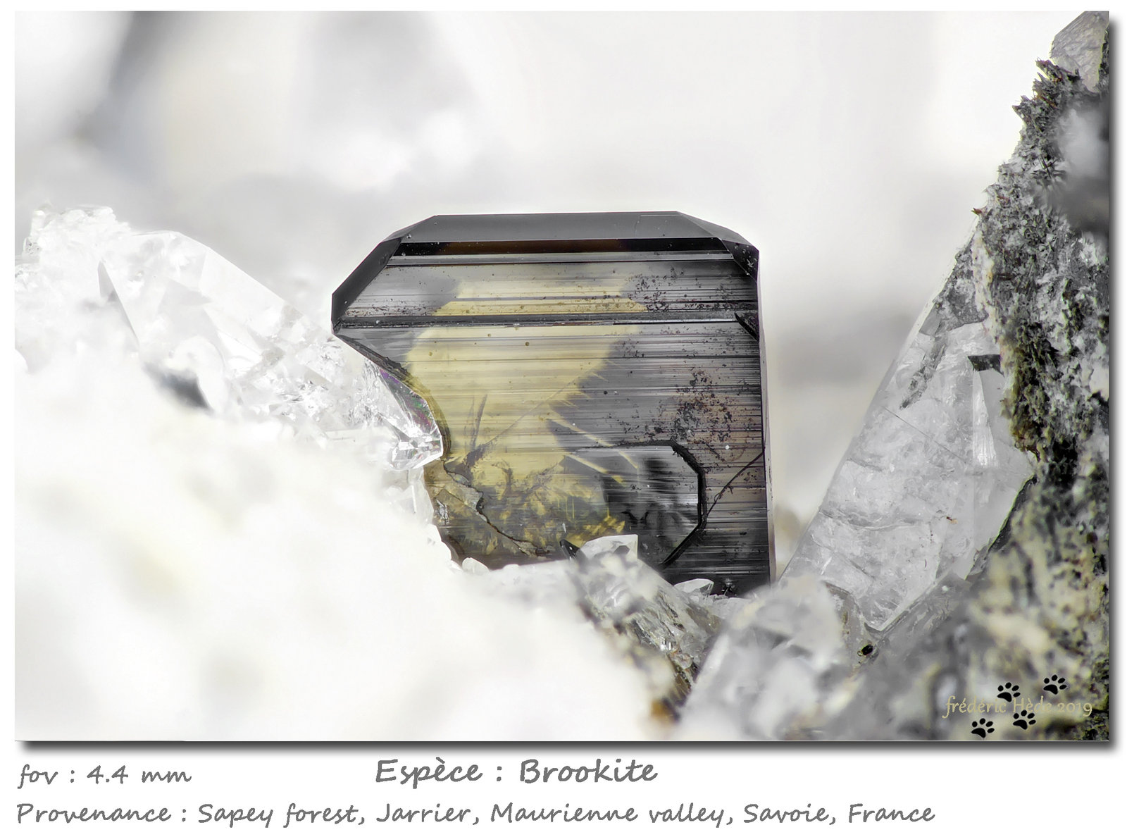 Brookite and Quartz
fov 4.6 mm
(Autor: ploum)