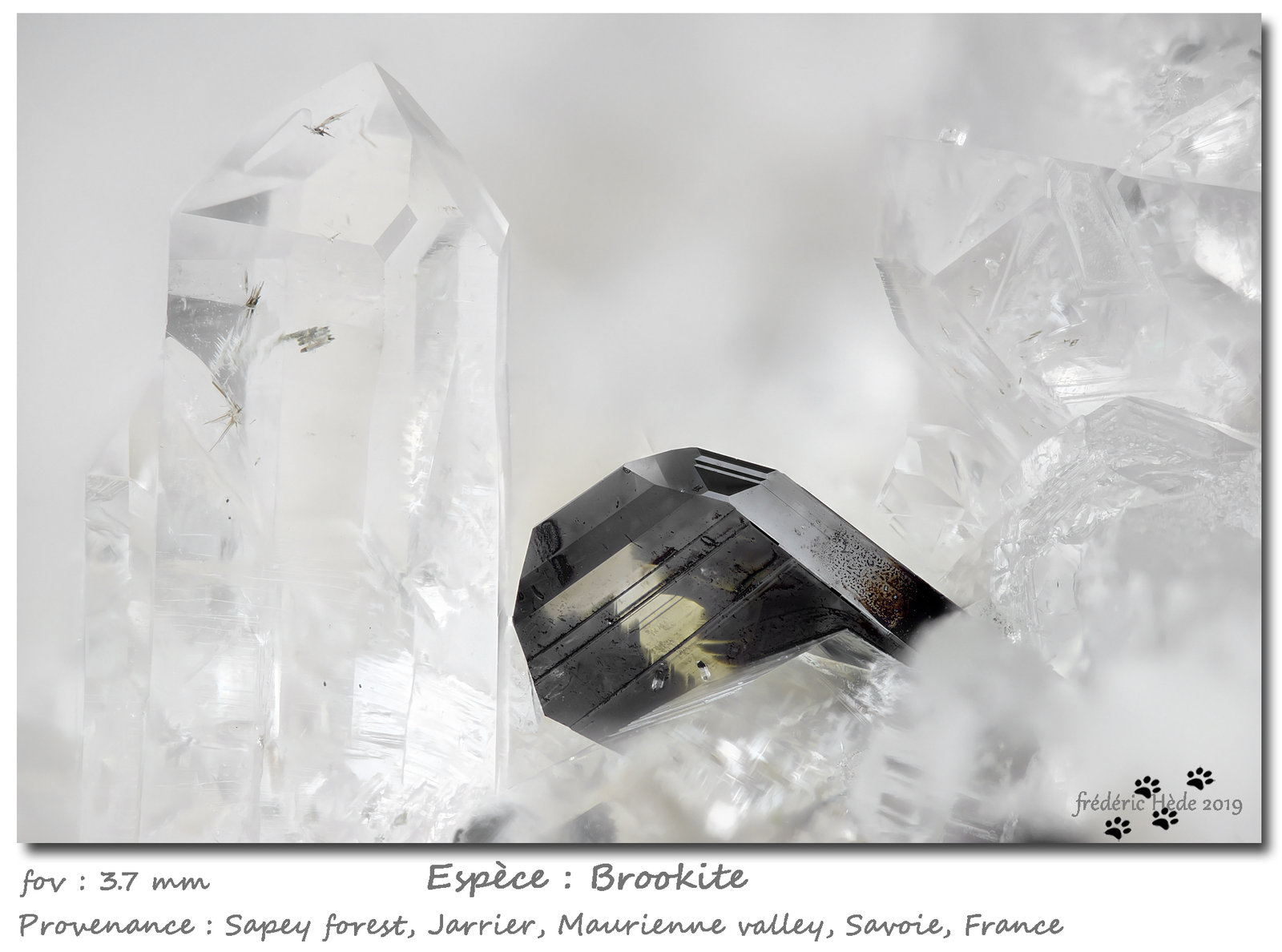 Brookite and Quartz
fov 3.6 mm
(Autor: ploum)