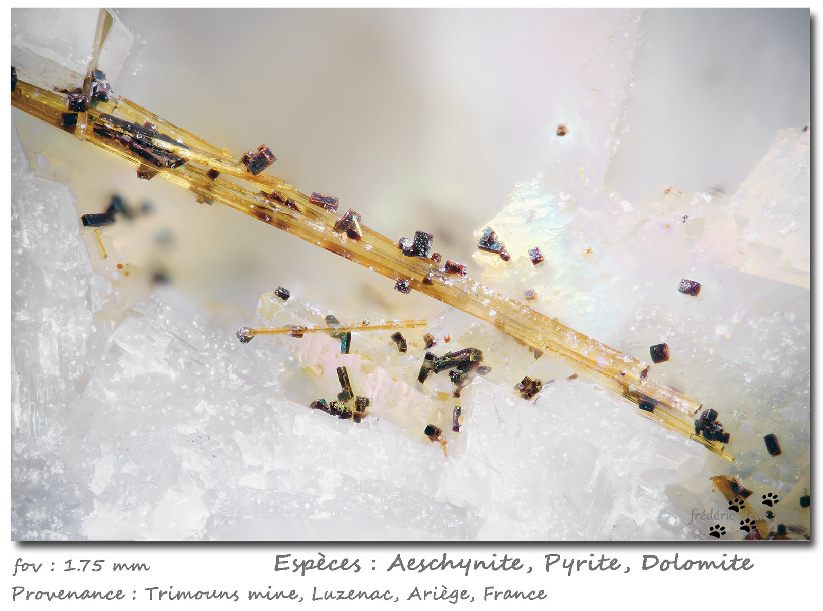 Aeschynite-(Ce) with Pyrite and Dolomite
fov 1.75 mm
(Autor: ploum)