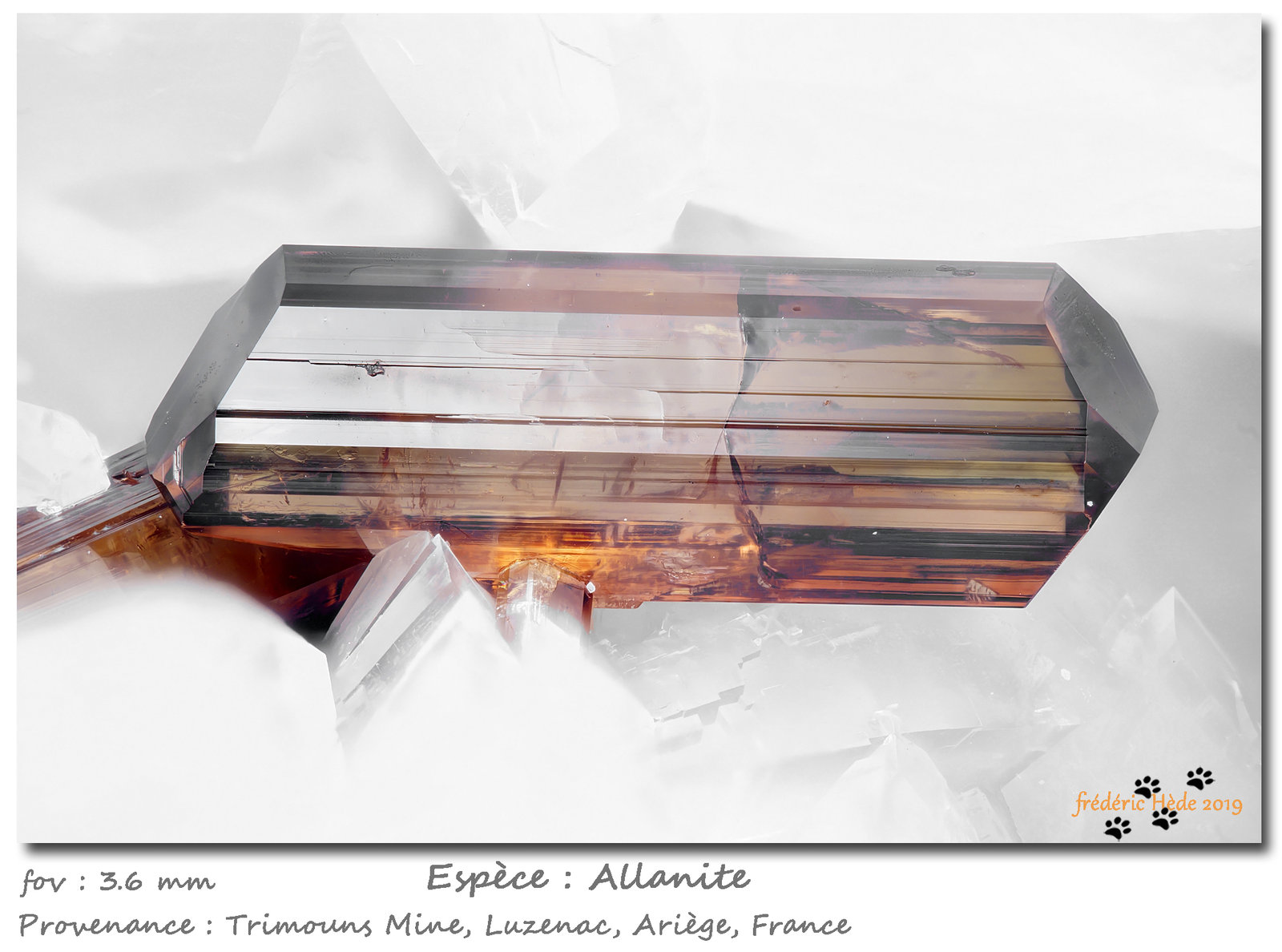 Allanite-(Ce) on Dolomite
fov 3.6 mm
(Autor: ploum)