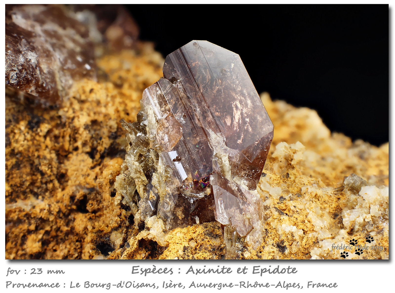 Axinite-(Fe) and Epidote
fov 23 mm
(Autor: ploum)