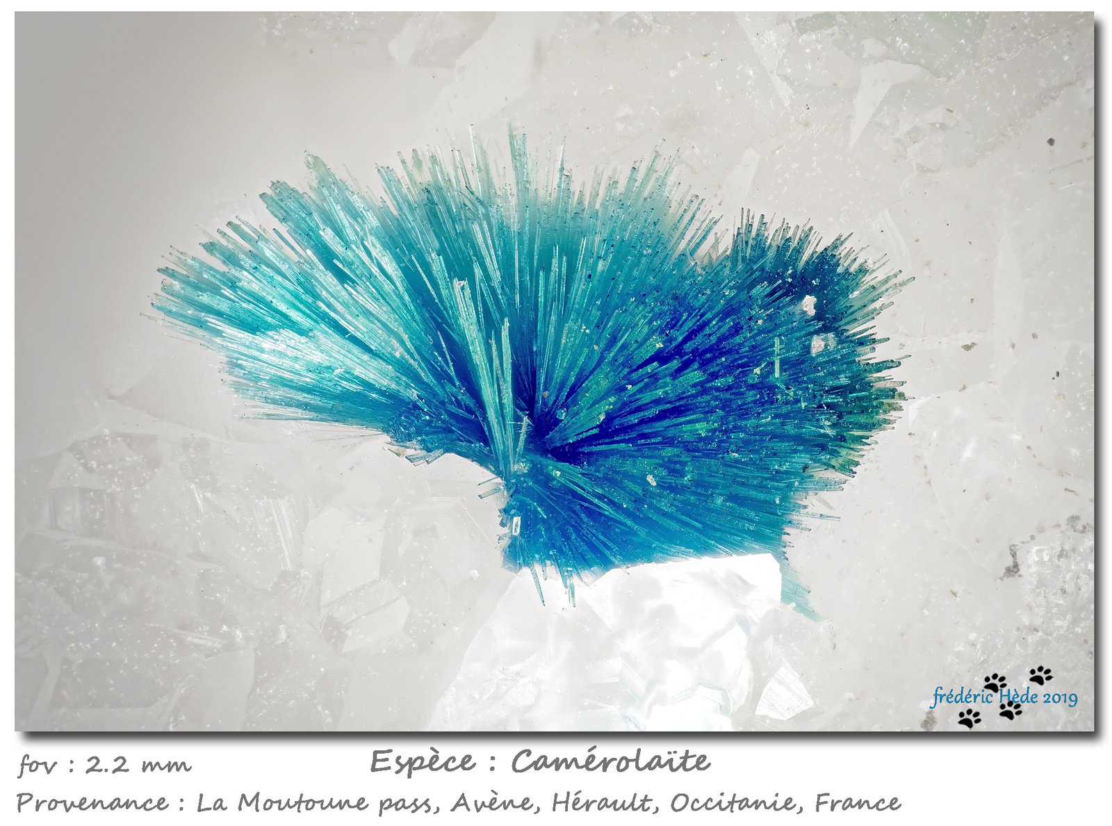 Camerolaite
fov 2.4 mm
(Autor: ploum)