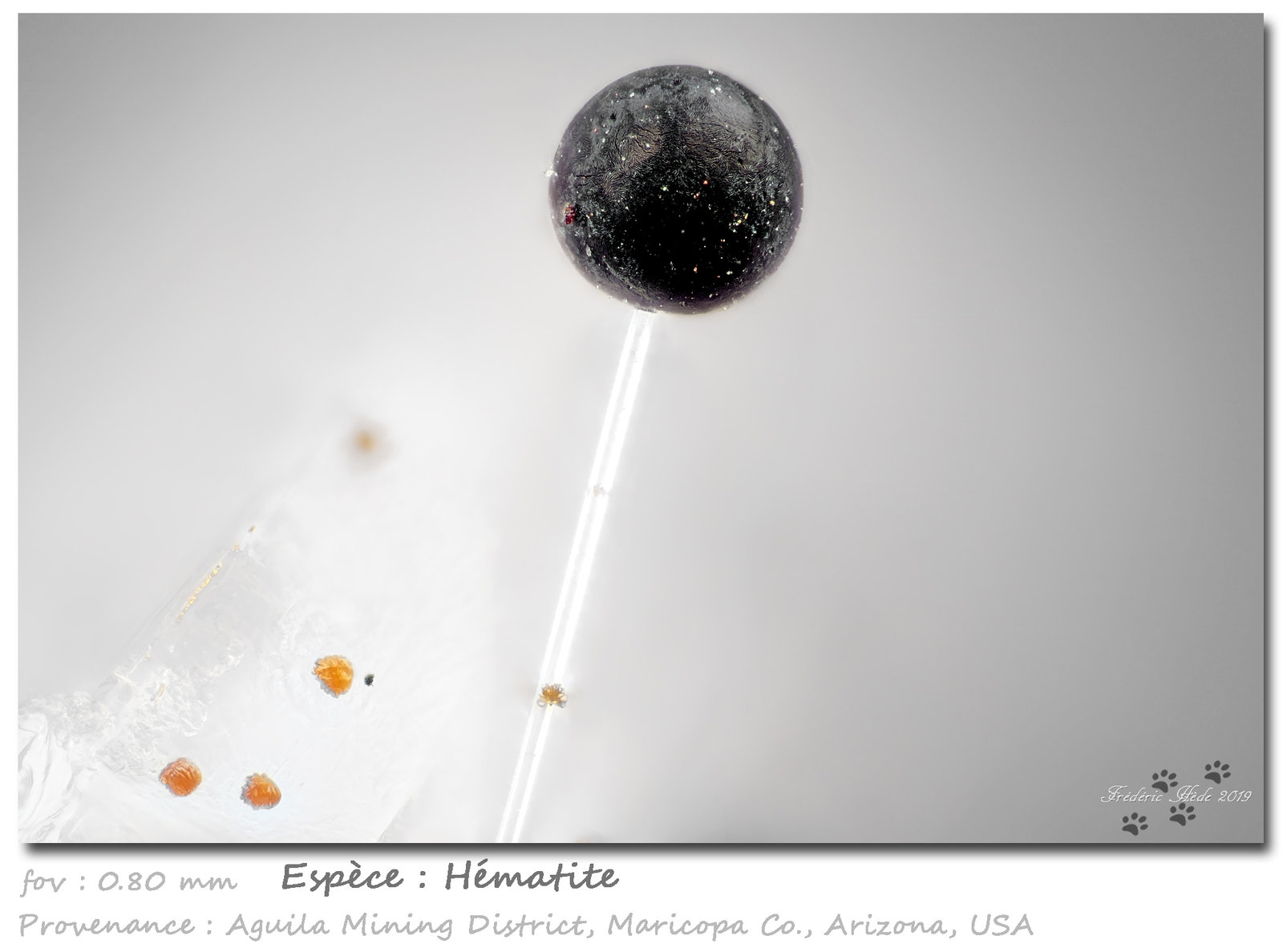Hematite
fov 0.80 mm
(Autor: ploum)