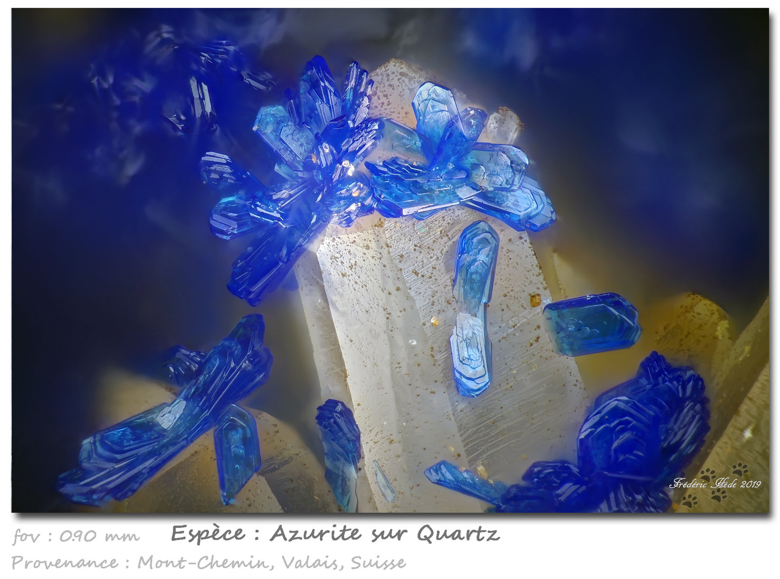 Azurite on Quartz
fov 0.90 mm
(Autor: ploum)