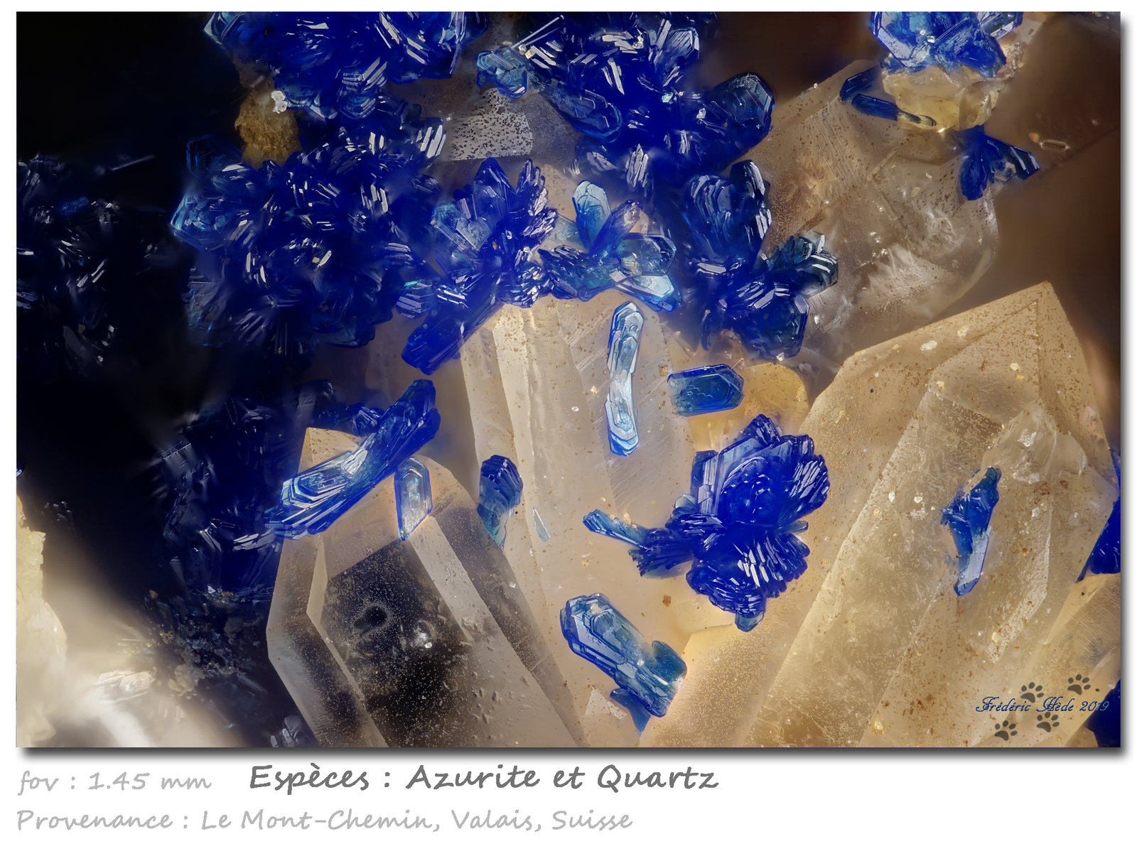 Azurite on Quartz
fov 1.45 mm
(Autor: ploum)