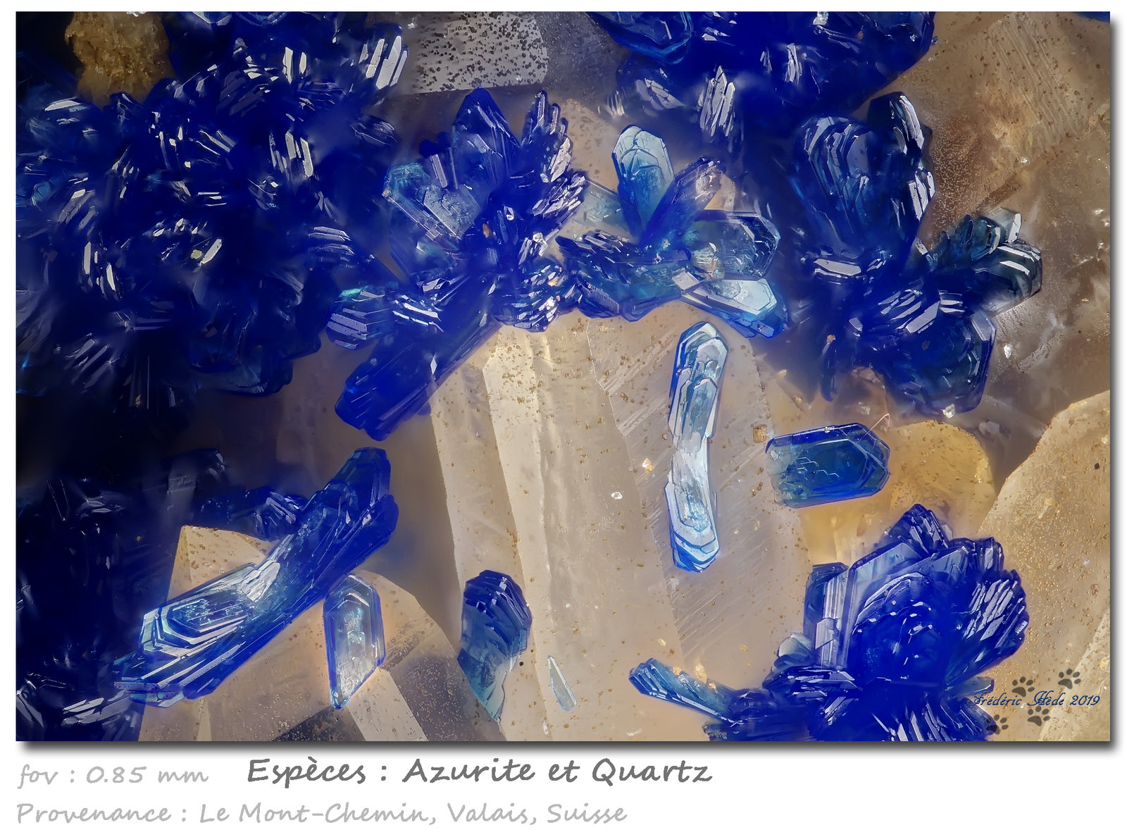 Azurite on Quartz
fov 0.85 mm
(Autor: ploum)
