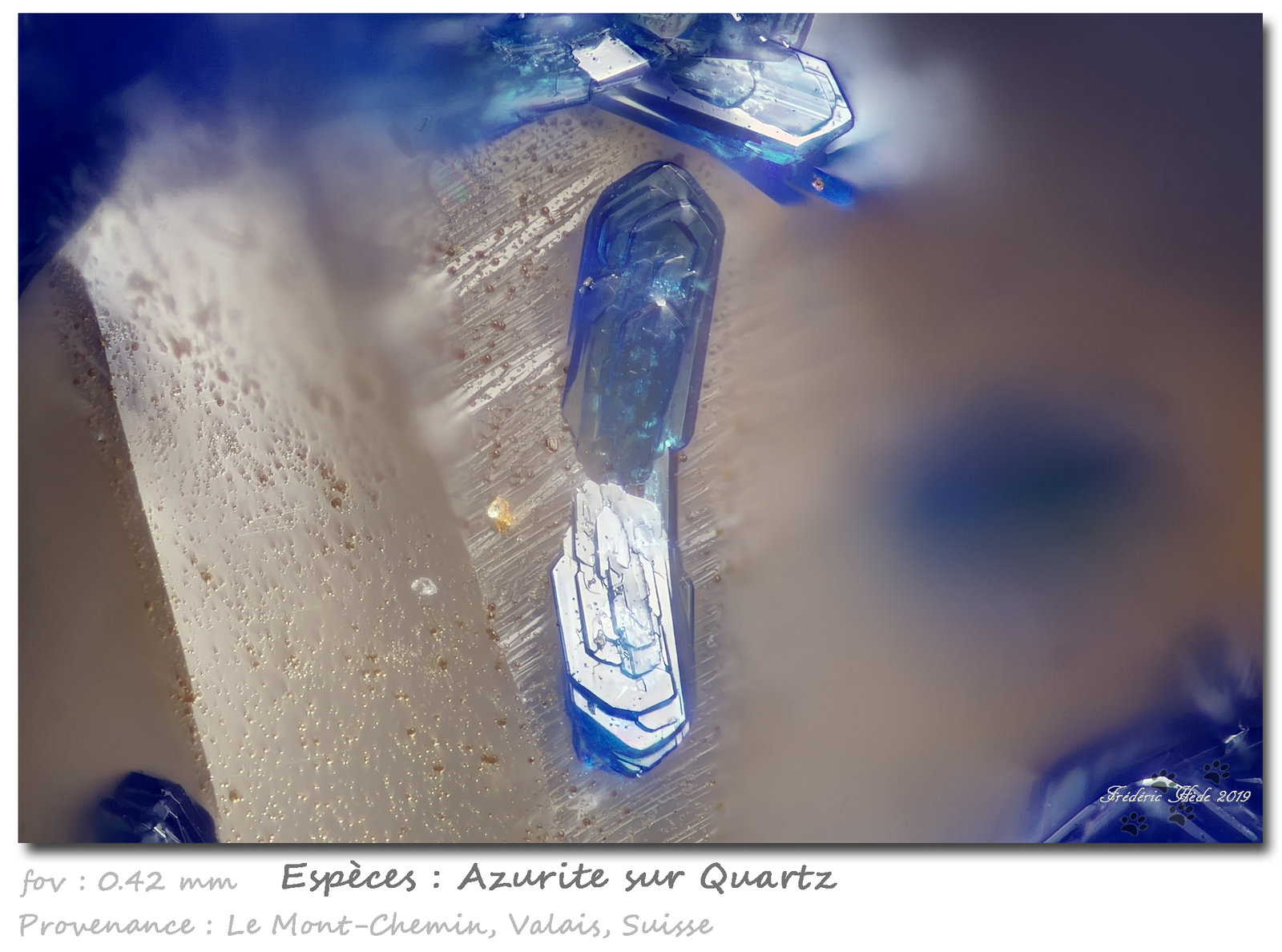 Azurite on Quartz
fov 0.42 mm
(Autor: ploum)
