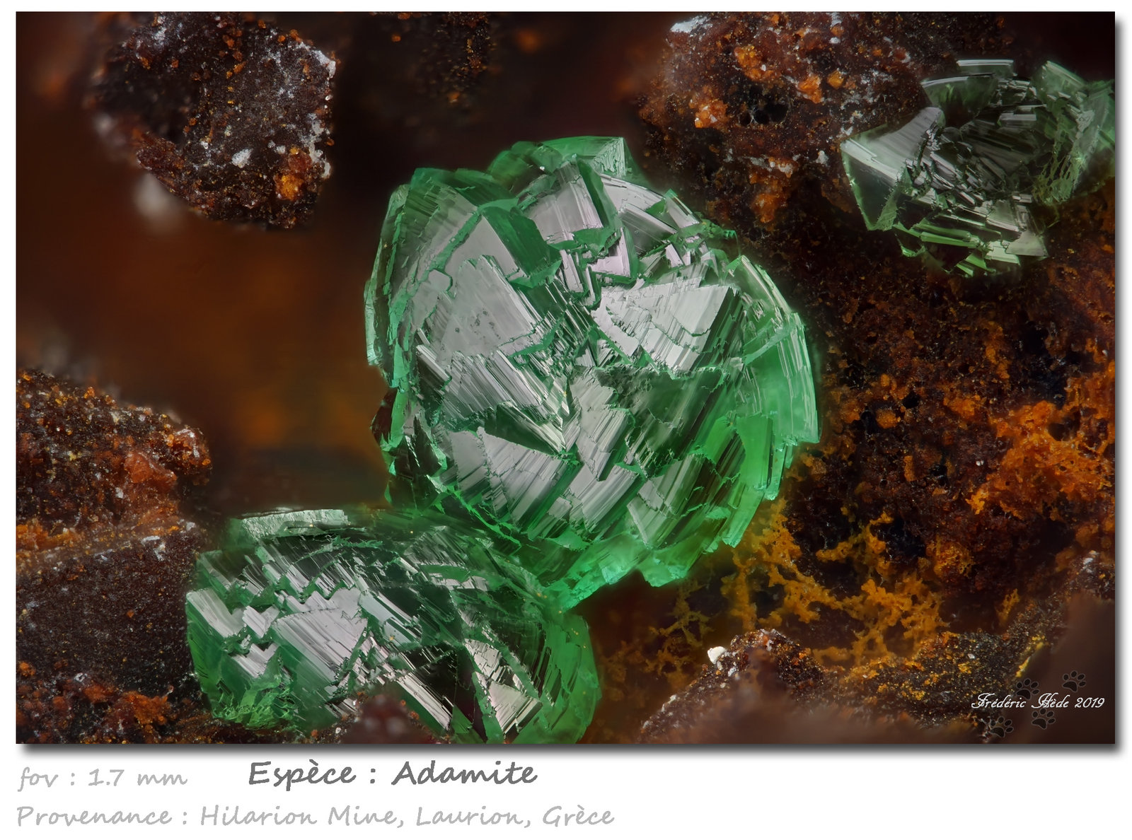 Adamite (variety cuprian)
fov 1.7 mm
(Autor: ploum)