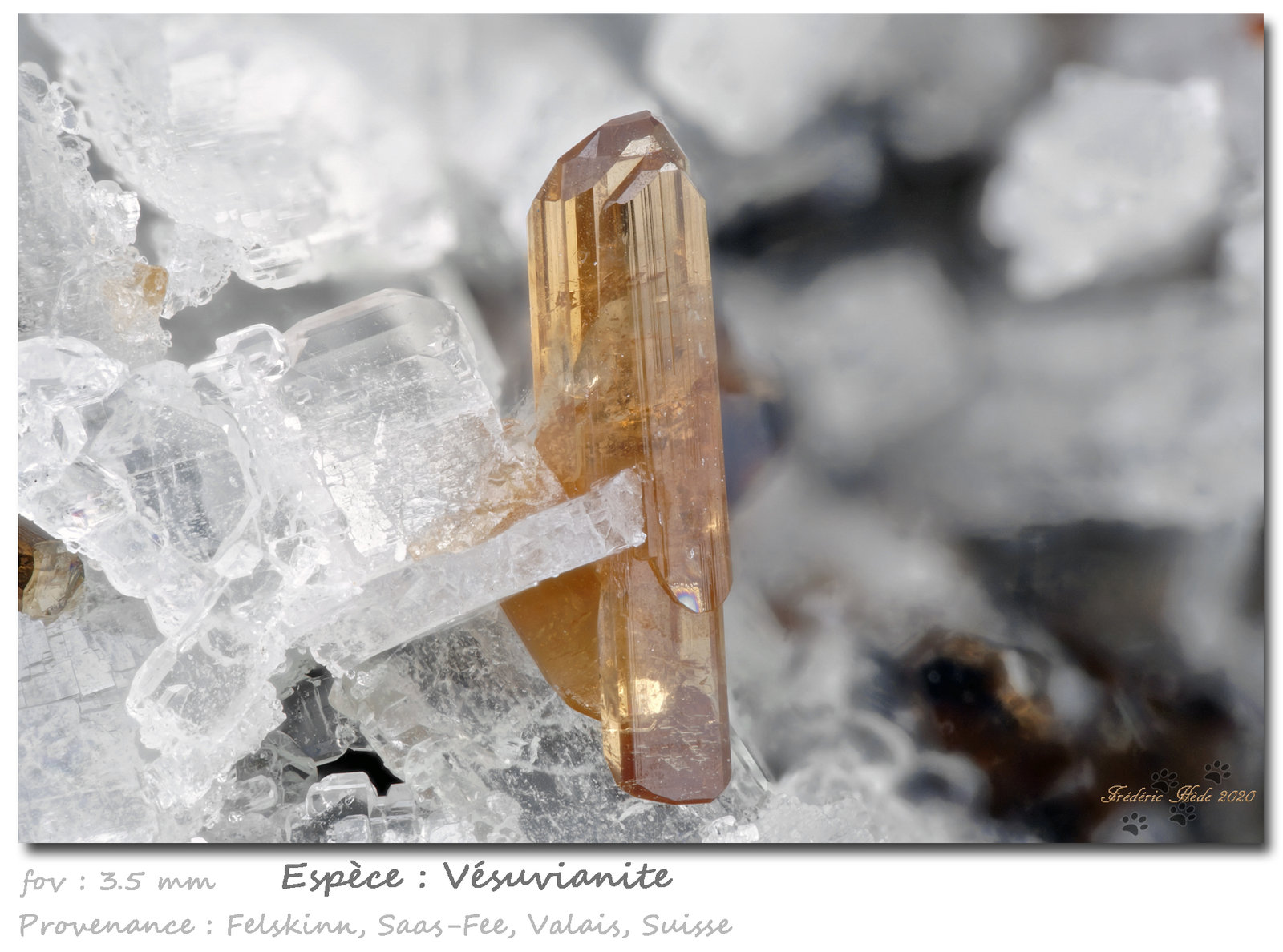 Vesuvianite
fov 3.5 mm
(Autor: ploum)