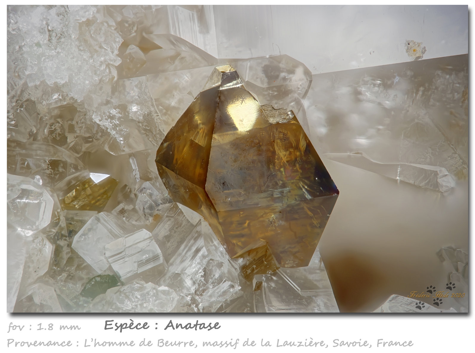 Anatase
fov 1.8 mm
(Autor: ploum)