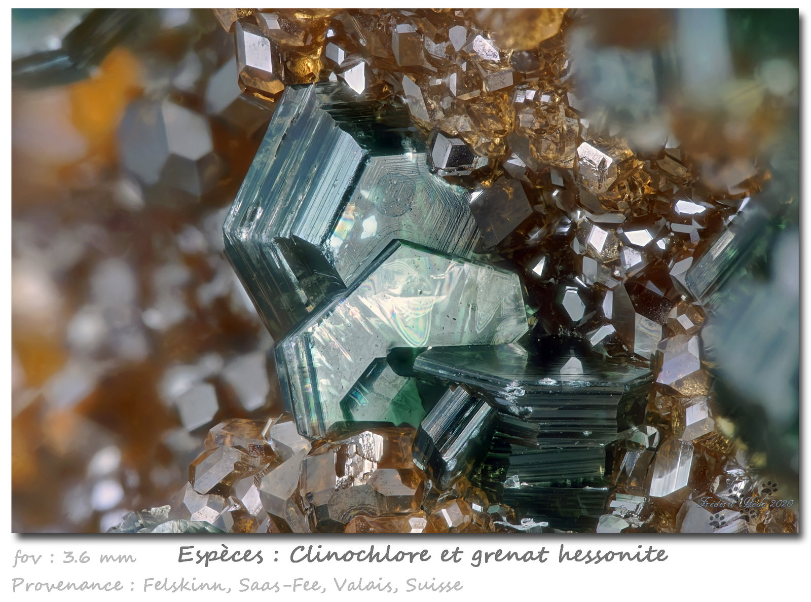 Clinochlore with Grossular (variety hessonite)
3.6 mm
(Autor: ploum)