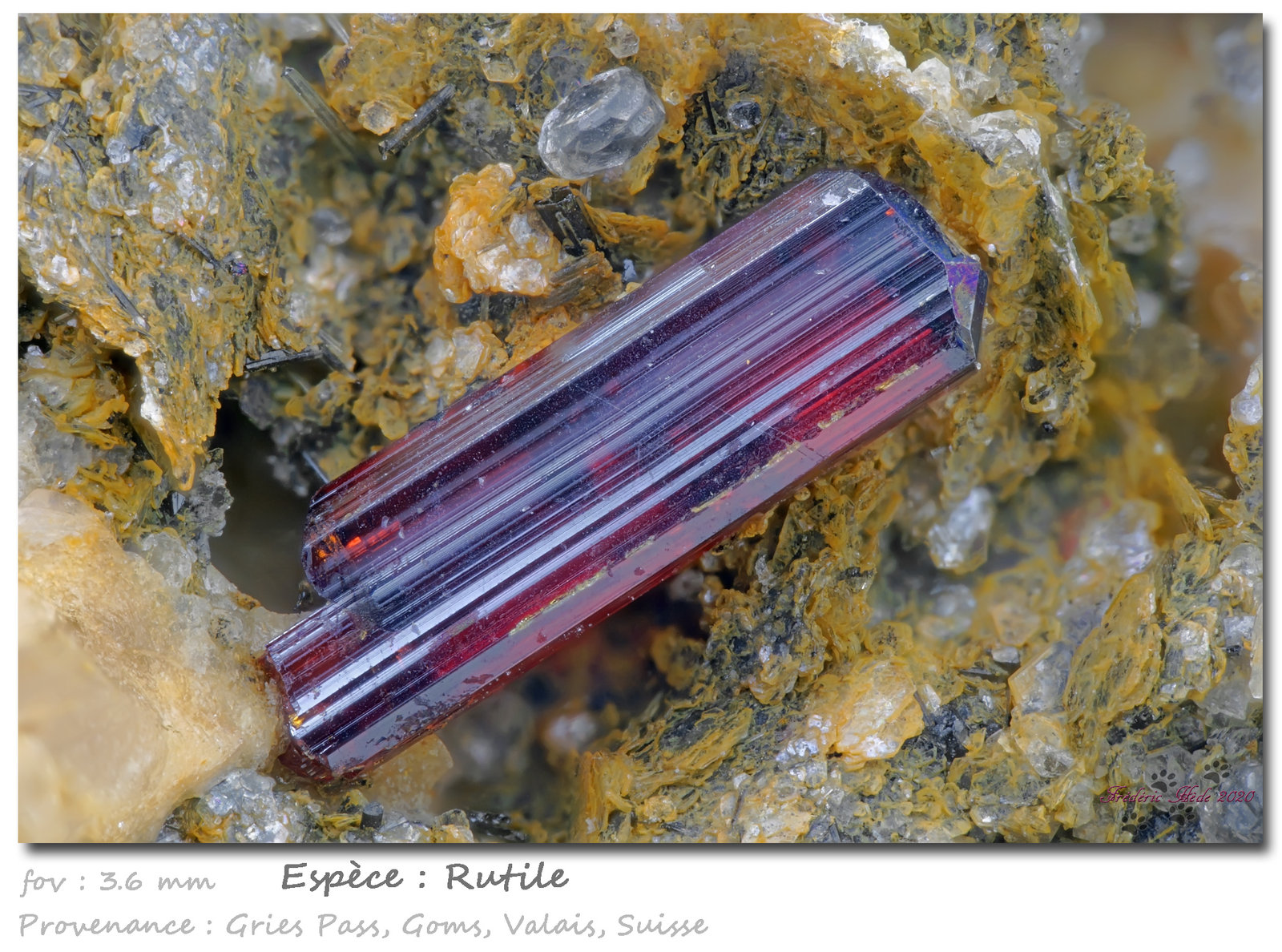 Rutile
fov 3.6 mm
(Autor: ploum)