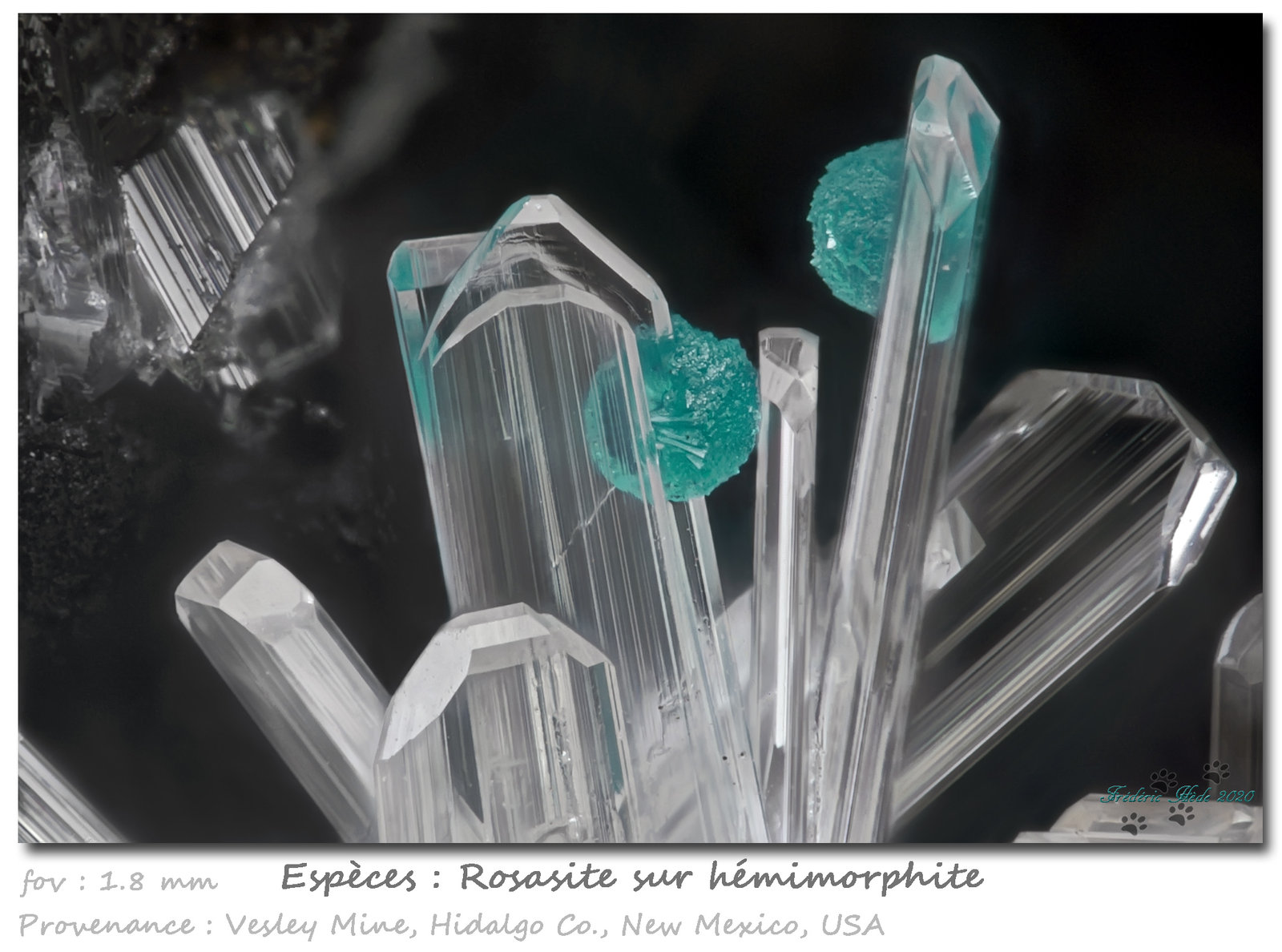Rosasite on Hemimorphite
fov 1.8 mm
(Autor: ploum)