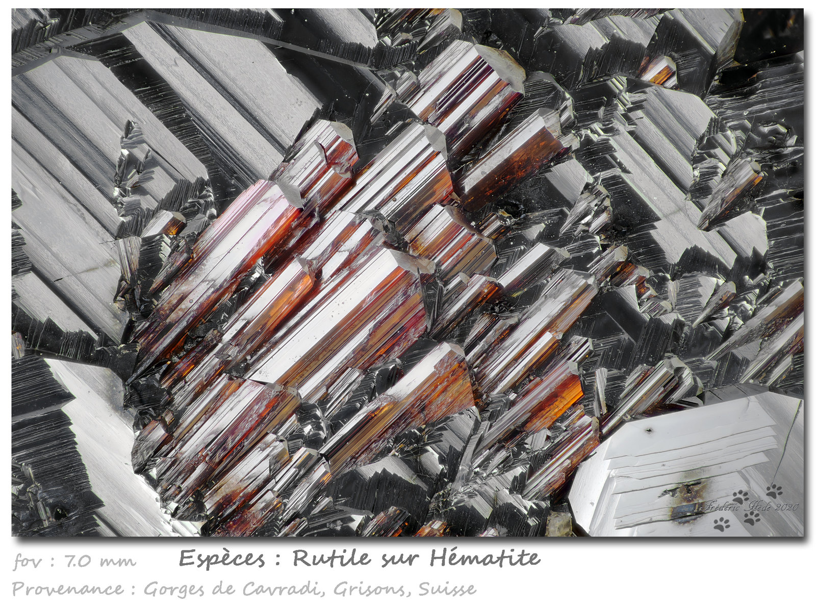 Rutile on Hematite
fov 7.0 mm
(Autor: ploum)
