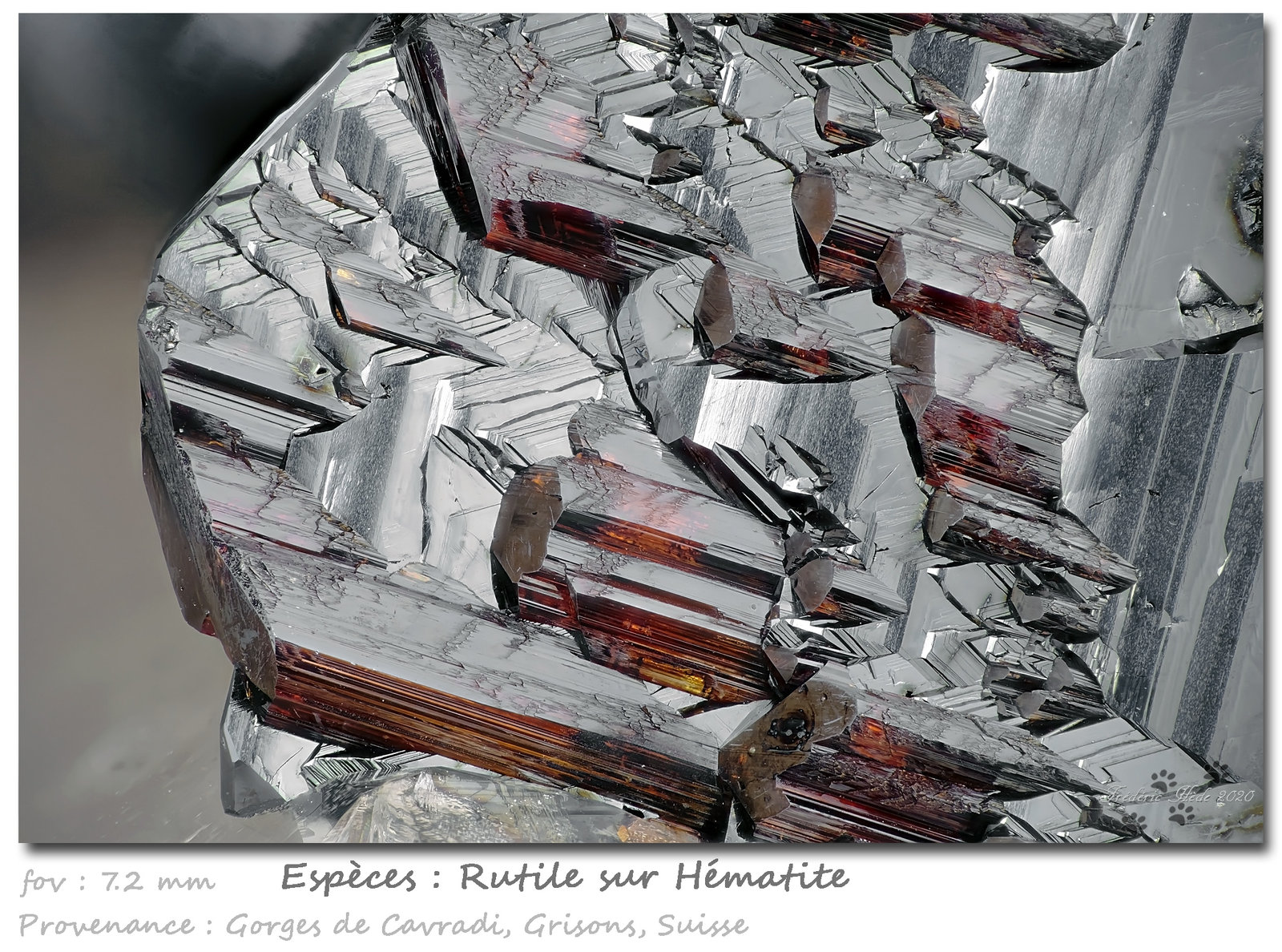 Rutile on Hematite
fov 7.2 mm
(Autor: ploum)