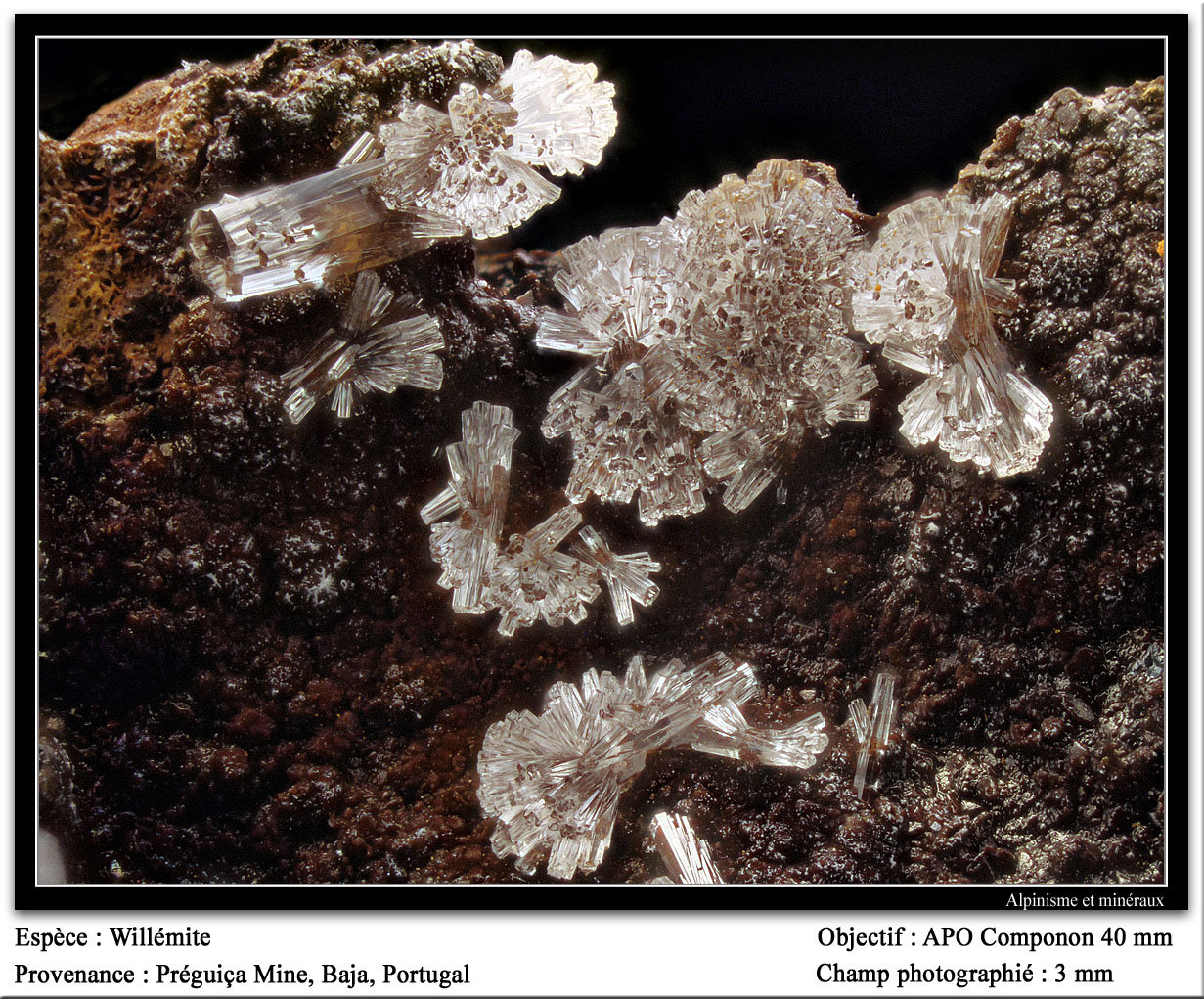 Willemite
3.5 mm
(Autor: ploum)