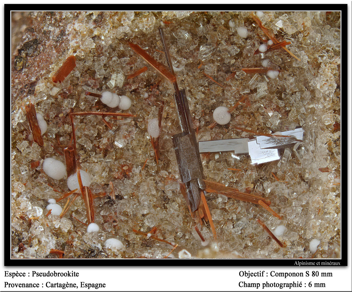 Pseudobrookite
6 mm
(Autor: ploum)