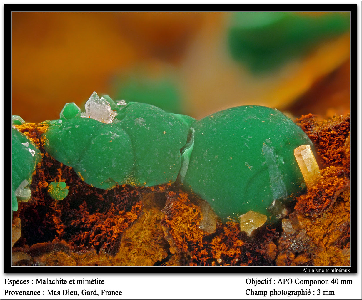 Malachite and mimetite
fov 3 mm
(Autor: ploum)