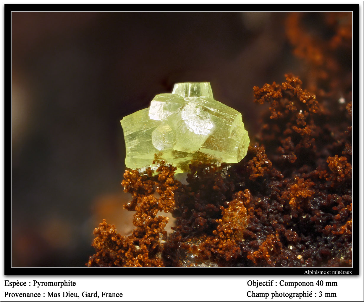Pyrmorphite
fov 3 mm
(Autor: ploum)