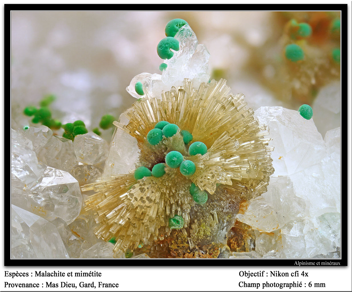 Mimetite, Malachite
fov 6 mm
(Autor: ploum)