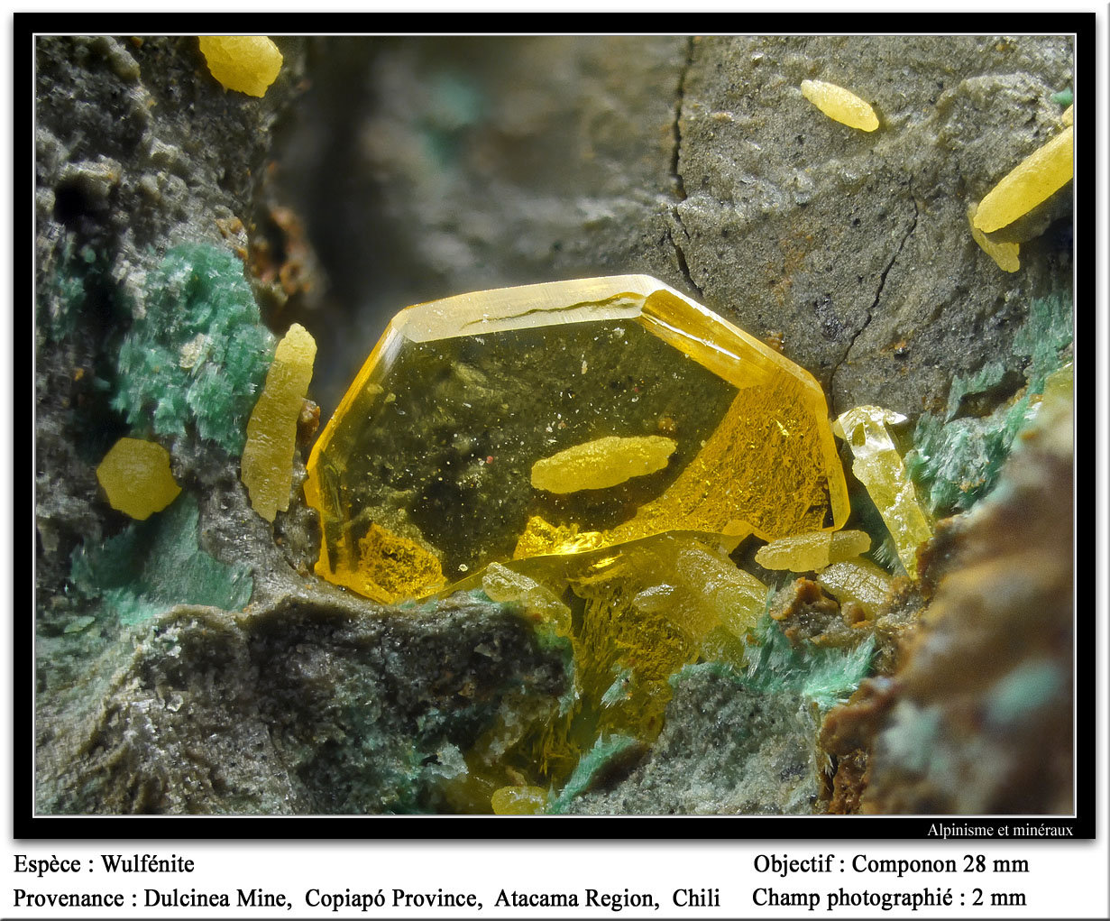 Wulfenite<br />{LOCALITAT}