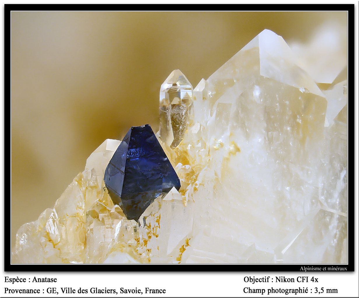 Anatase
fov 3.5 mm
(Autor: ploum)