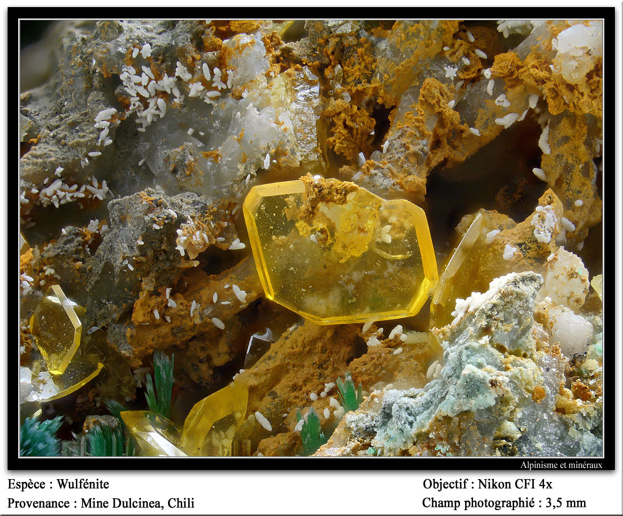 Wulfenite
3.5 mm
(Autor: ploum)