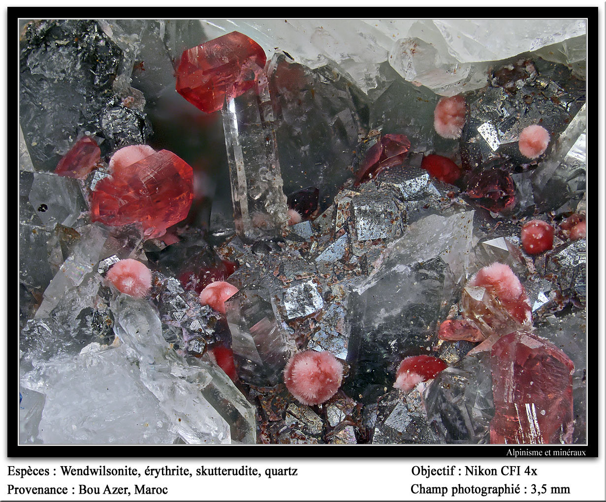 Wendwilsonite, quartz, erythrite
3.5 mm
(Autor: ploum)