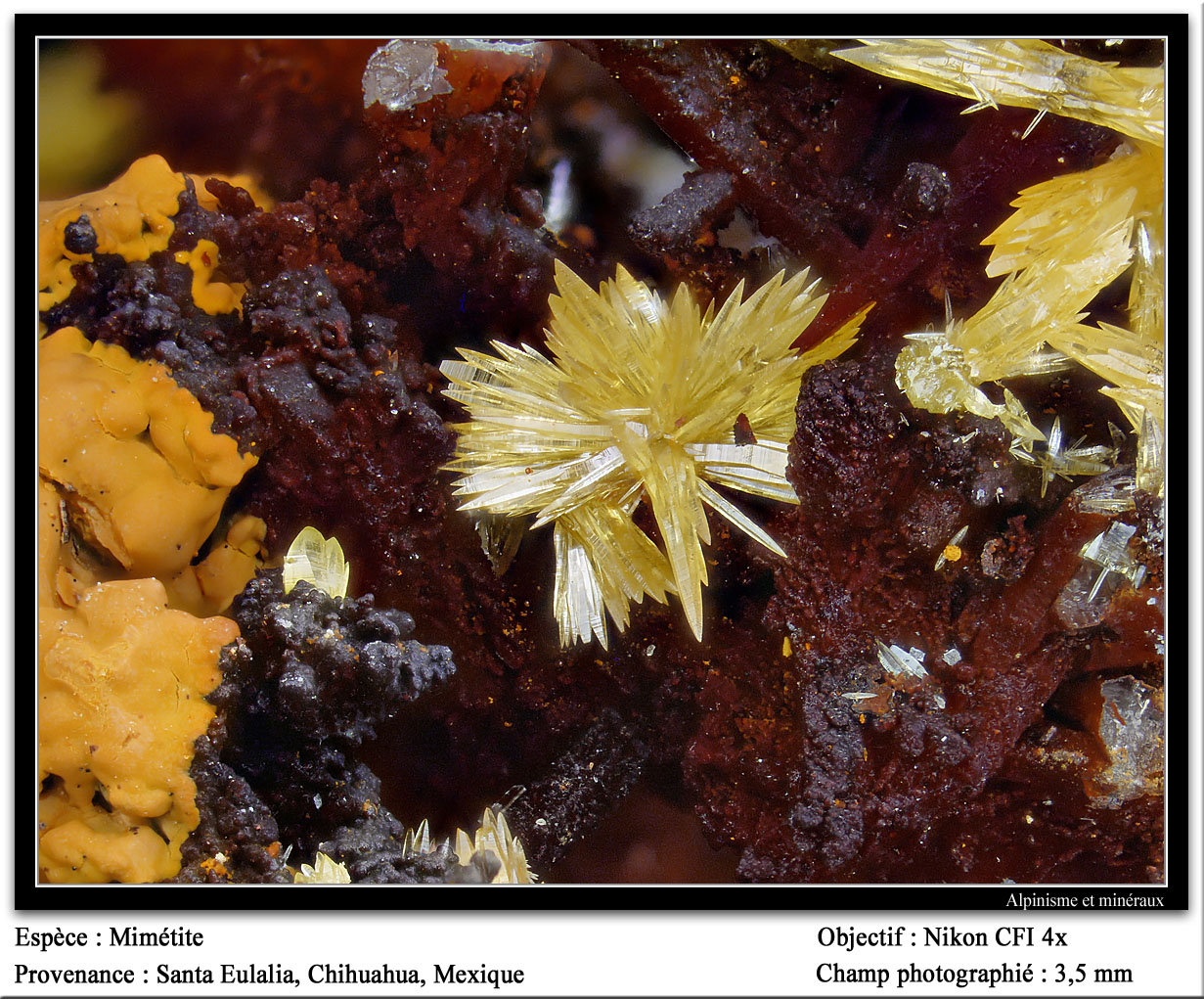 Mimetite
3.5 mm
(Autor: ploum)