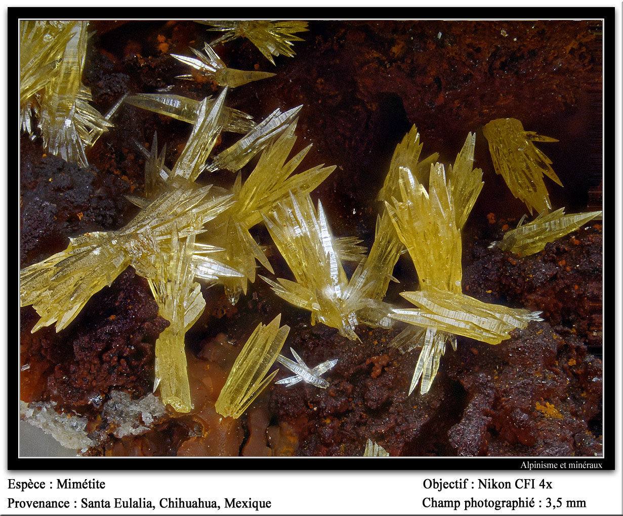 Mimetite
3.5 mm
(Autor: ploum)