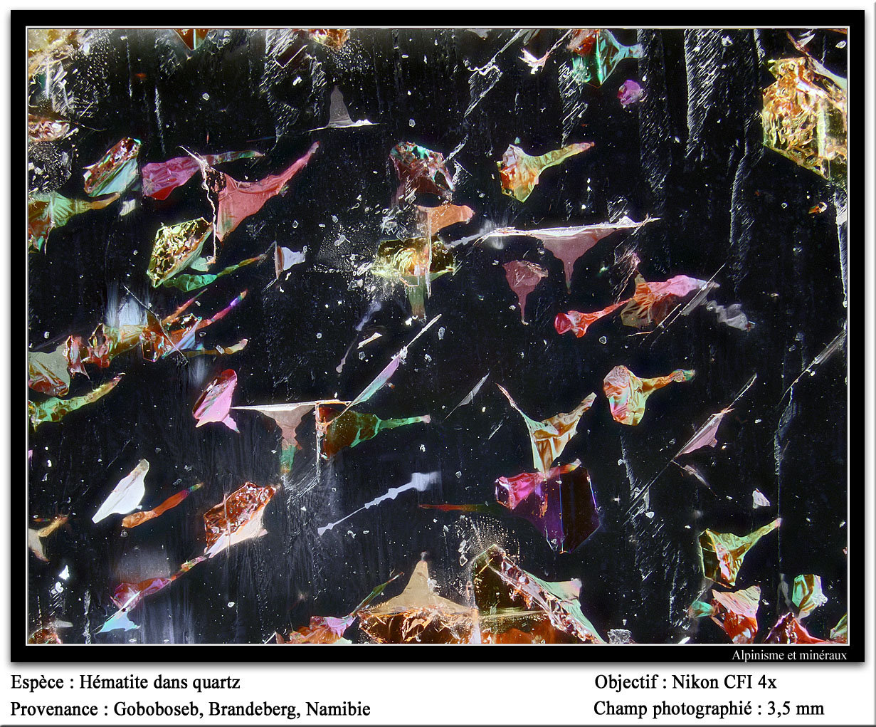 Hematite, quartz
3.5 mm
(Autor: ploum)