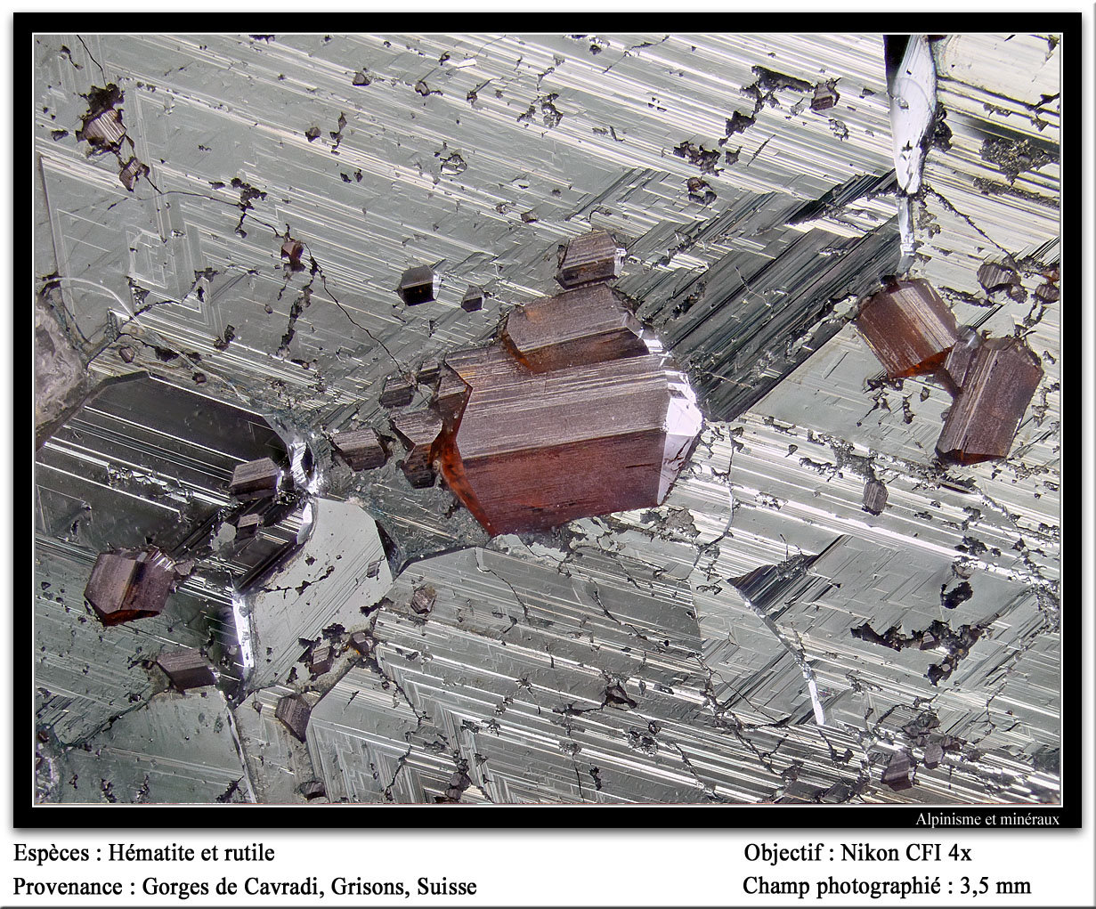 Rutile
3.5 mm
(Autor: ploum)